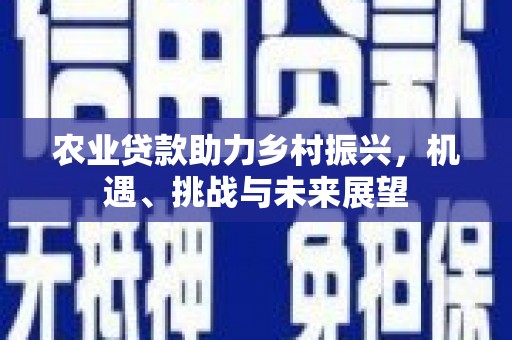 武胜农业贷款助力乡村振兴，机遇、挑战与未来展望