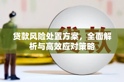 武胜贷款风险处置方案，全面解析与高效应对策略