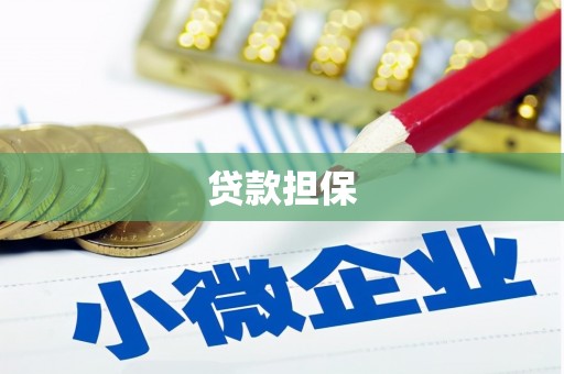 武胜贷款担保