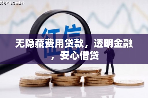 武胜无隐藏费用贷款，透明金融，安心借贷