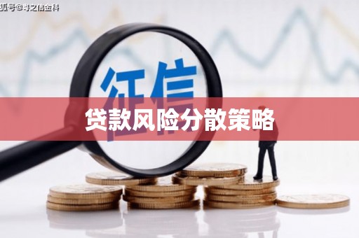 武胜贷款风险分散策略