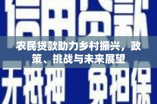 武胜农民贷款助力乡村振兴，政策、挑战与未来展望