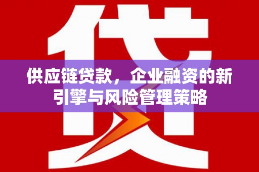 武胜供应链贷款，企业融资的新引擎与风险管理策略