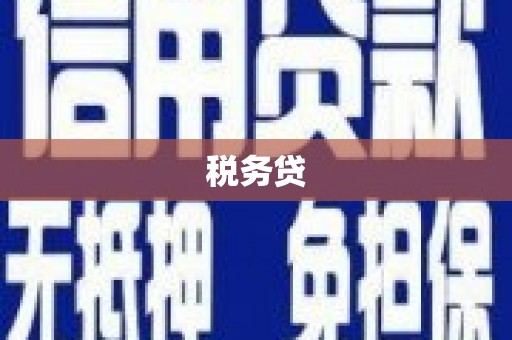 武胜税务贷