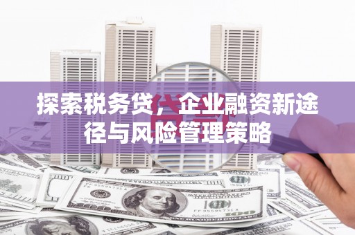 武胜探索税务贷，企业融资新途径与风险管理策略