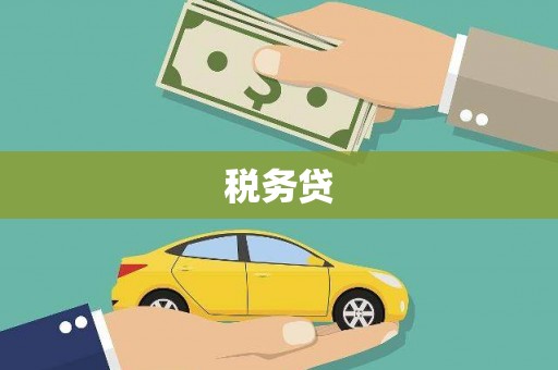 武胜税务贷