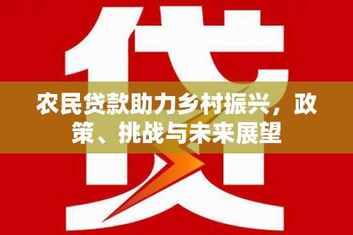 武胜农民贷款助力乡村振兴，政策、挑战与未来展望