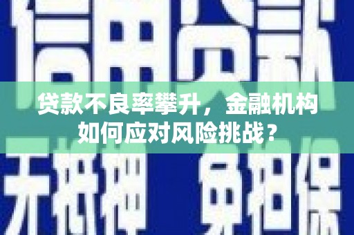 武胜贷款不良率攀升，金融机构如何应对风险挑战？