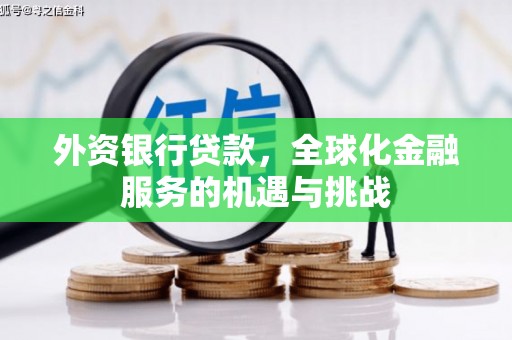 武胜外资银行贷款，全球化金融服务的机遇与挑战