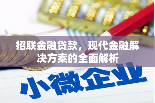 武胜招联金融贷款，现代金融解决方案的全面解析