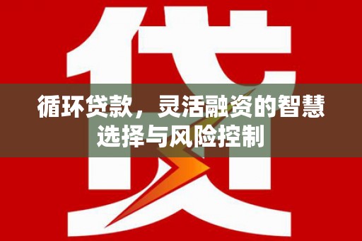 武胜循环贷款，灵活融资的智慧选择与风险控制