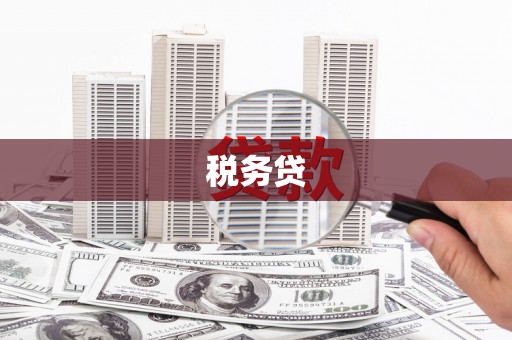 武胜税务贷
