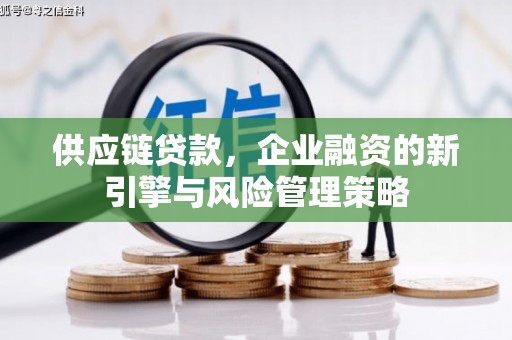 武胜供应链贷款，企业融资的新引擎与风险管理策略