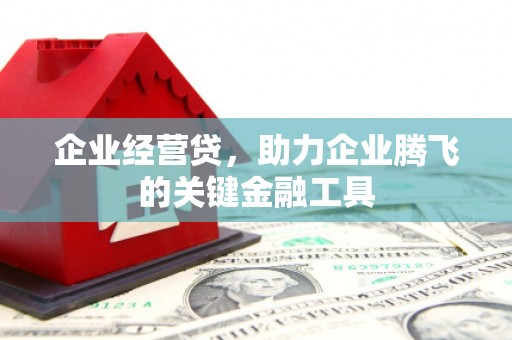 武胜企业经营贷，助力企业腾飞的关键金融工具