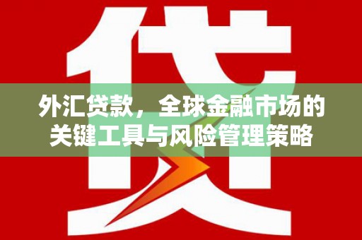 武胜外汇贷款，全球金融市场的关键工具与风险管理策略