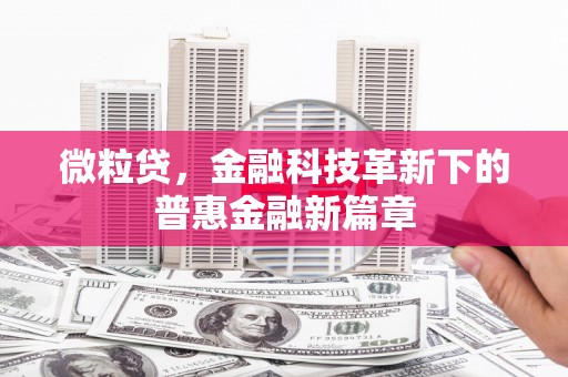 武胜微粒贷，金融科技革新下的普惠金融新篇章