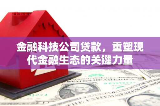 武胜金融科技公司贷款，重塑现代金融生态的关键力量
