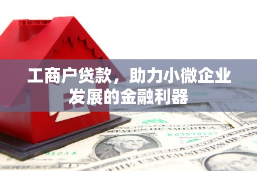 武胜工商户贷款，助力小微企业发展的金融利器