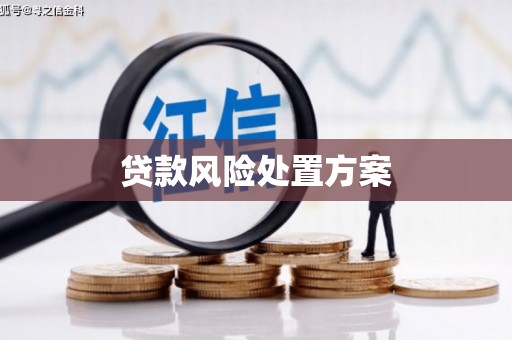 武胜贷款风险处置方案