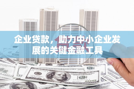 武胜企业贷款，助力中小企业发展的关键金融工具
