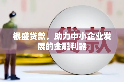 武胜银盛贷款，助力中小企业发展的金融利器