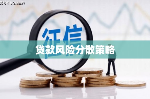 武胜贷款风险分散策略