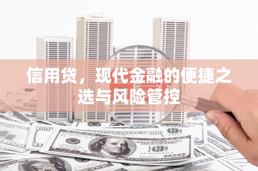 武胜信用贷，现代金融的便捷之选与风险管控