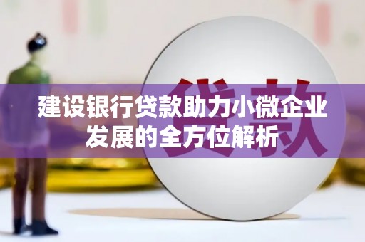 武胜建设银行贷款助力小微企业发展的全方位解析