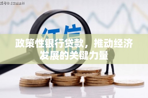武胜政策性银行贷款，推动经济发展的关键力量