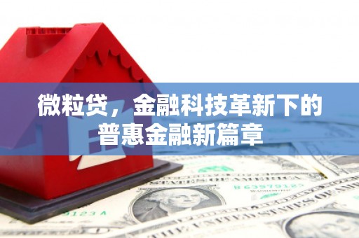 武胜微粒贷，金融科技革新下的普惠金融新篇章
