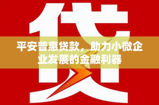 武胜平安普惠贷款，助力小微企业发展的金融利器