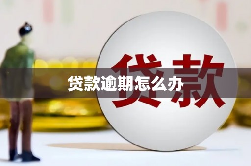 武胜贷款逾期怎么办