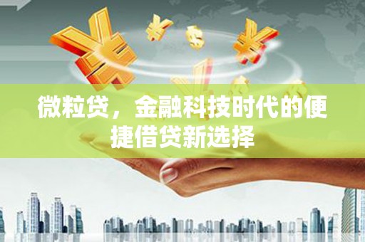 武胜微粒贷，金融科技时代的便捷借贷新选择