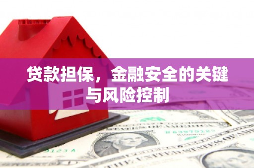 武胜贷款担保，金融安全的关键与风险控制