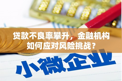武胜贷款不良率攀升，金融机构如何应对风险挑战？