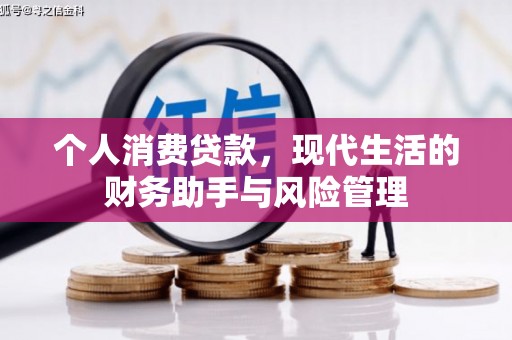 武胜个人消费贷款，现代生活的财务助手与风险管理