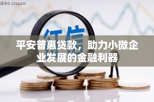 武胜平安普惠贷款，助力小微企业发展的金融利器