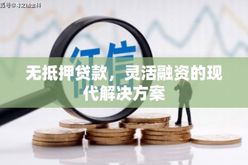 武胜无抵押贷款，灵活融资的现代解决方案