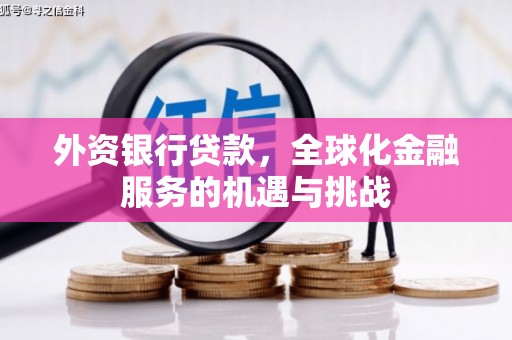 武胜外资银行贷款，全球化金融服务的机遇与挑战