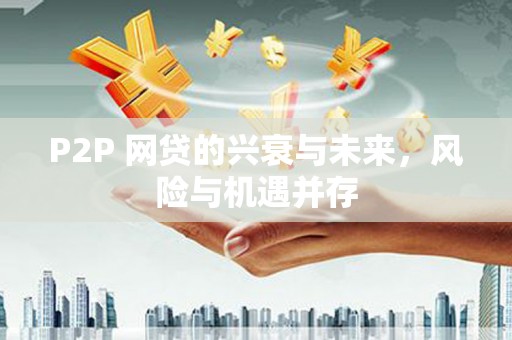 武胜P2P 网贷的兴衰与未来，风险与机遇并存