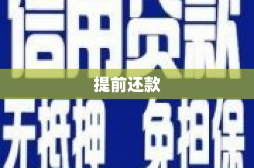 武胜提前还款