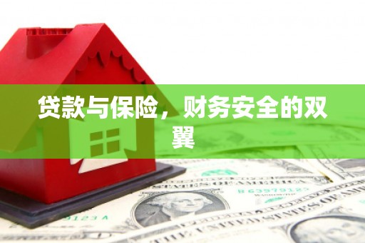 武胜贷款与保险，财务安全的双翼