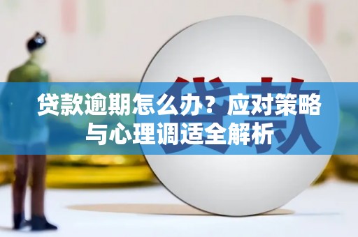 武胜贷款逾期怎么办？应对策略与心理调适全解析