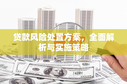 武胜贷款风险处置方案，全面解析与实施策略